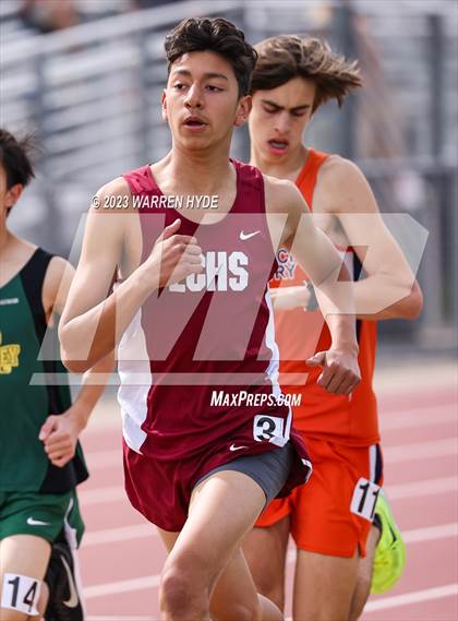 Thumbnail 1 in Herd Roundup @ Elk Grove photogallery.