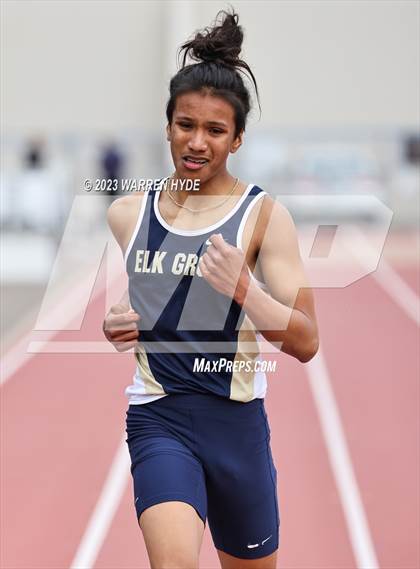 Thumbnail 2 in Herd Roundup @ Elk Grove photogallery.