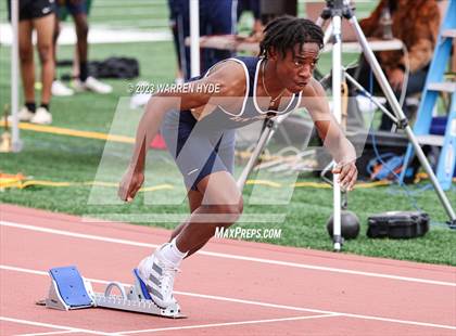 Thumbnail 2 in Herd Roundup @ Elk Grove photogallery.