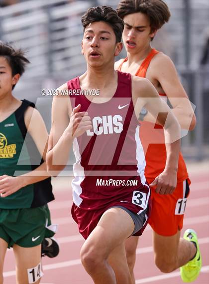 Thumbnail 3 in Herd Roundup @ Elk Grove photogallery.