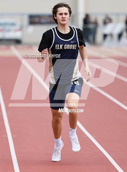 Thumbnail 2 in Herd Roundup @ Elk Grove photogallery.