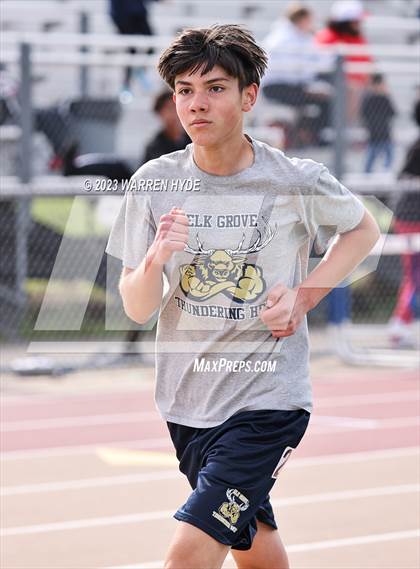 Thumbnail 2 in Herd Roundup @ Elk Grove photogallery.