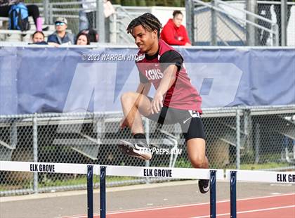 Thumbnail 2 in Herd Roundup @ Elk Grove photogallery.
