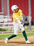 Photo from the gallery "Kennedy @ Laguna Creek"