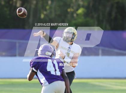 Thumbnail 1 in Citrus @ Hernando photogallery.