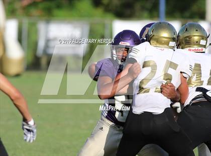 Thumbnail 1 in Citrus @ Hernando photogallery.