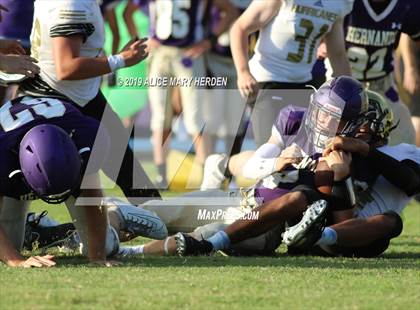Thumbnail 2 in Citrus @ Hernando photogallery.