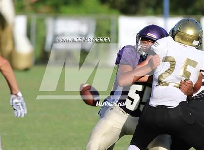 Thumbnail 2 in Citrus @ Hernando photogallery.