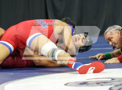 Thumbnail 3 in CIF State Boys Wrestling Championships (Day 1 - Round 3) photogallery.