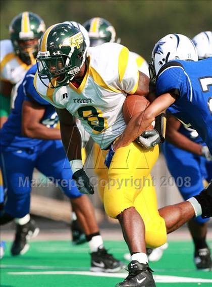 Thumbnail 1 in Klein Forest @ Dekaney photogallery.