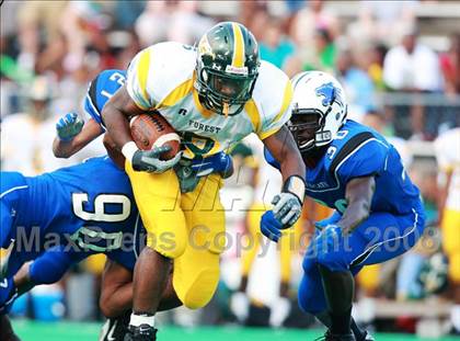 Thumbnail 3 in Klein Forest @ Dekaney photogallery.