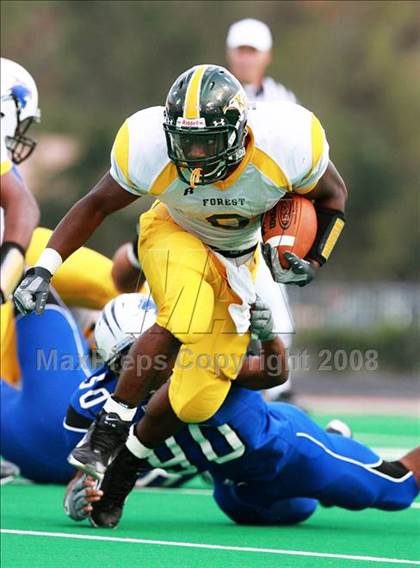 Thumbnail 1 in Klein Forest @ Dekaney photogallery.
