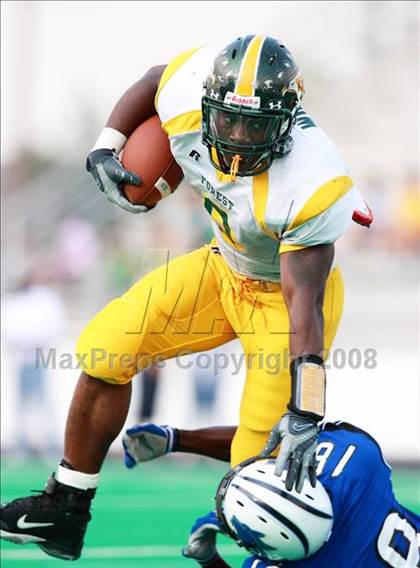 Thumbnail 3 in Klein Forest @ Dekaney photogallery.