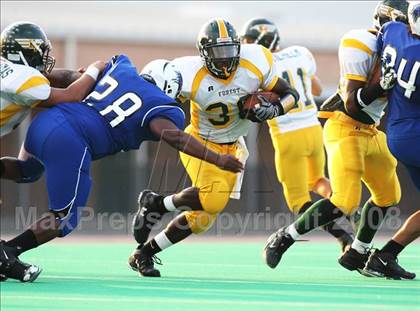 Thumbnail 3 in Klein Forest @ Dekaney photogallery.