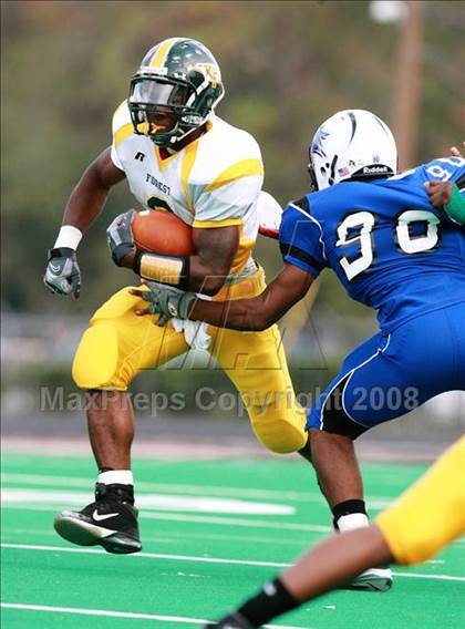 Thumbnail 2 in Klein Forest @ Dekaney photogallery.