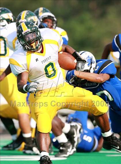 Thumbnail 3 in Klein Forest @ Dekaney photogallery.