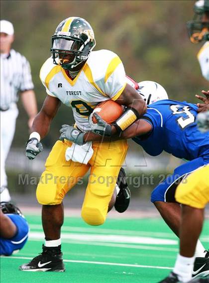 Thumbnail 3 in Klein Forest @ Dekaney photogallery.