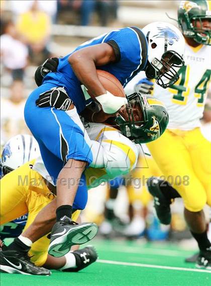 Thumbnail 3 in Klein Forest @ Dekaney photogallery.