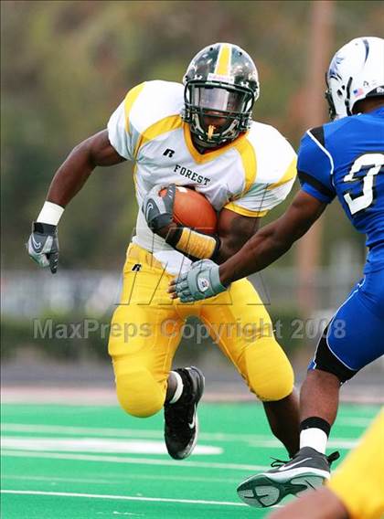 Thumbnail 1 in Klein Forest @ Dekaney photogallery.
