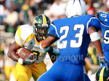 Thumbnail 3 in Klein Forest @ Dekaney photogallery.