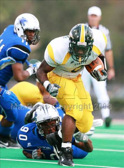 Thumbnail 2 in Klein Forest @ Dekaney photogallery.