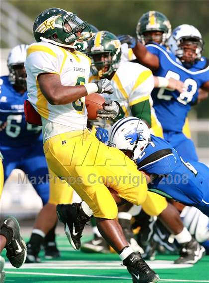 Thumbnail 1 in Klein Forest @ Dekaney photogallery.