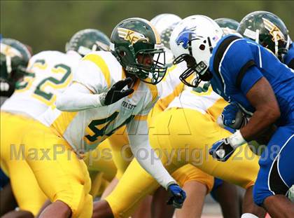 Thumbnail 3 in Klein Forest @ Dekaney photogallery.