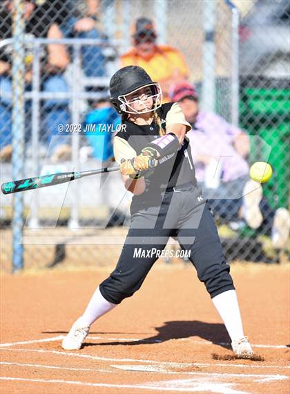 Thumbnail 1 in Gordon @ Lipan photogallery.