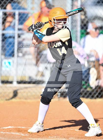 Thumbnail 2 in Gordon @ Lipan photogallery.