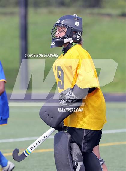 Thumbnail 3 in Langley vs. Robinson (South County Tournament) photogallery.