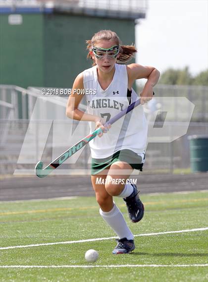 Thumbnail 2 in Langley vs. Robinson (South County Tournament) photogallery.