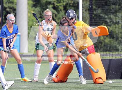 Thumbnail 3 in Langley vs. Robinson (South County Tournament) photogallery.