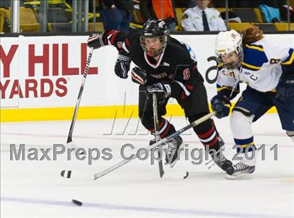 Thumbnail 2 in Hingham vs Acton-Boxborough (MIAA Division 1 Final) photogallery.