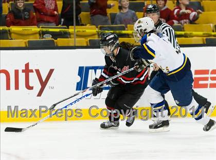 Thumbnail 2 in Hingham vs Acton-Boxborough (MIAA Division 1 Final) photogallery.