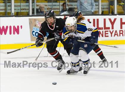 Thumbnail 1 in Hingham vs Acton-Boxborough (MIAA Division 1 Final) photogallery.