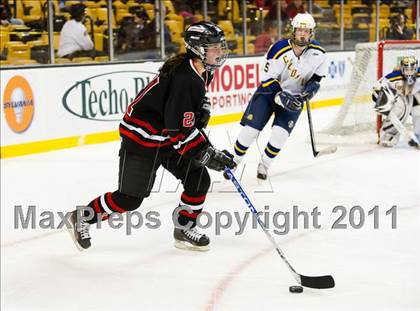 Thumbnail 1 in Hingham vs Acton-Boxborough (MIAA Division 1 Final) photogallery.