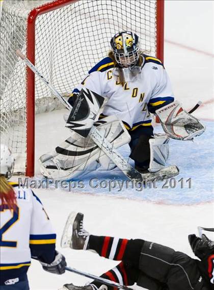 Thumbnail 3 in Hingham vs Acton-Boxborough (MIAA Division 1 Final) photogallery.