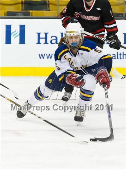 Thumbnail 1 in Hingham vs Acton-Boxborough (MIAA Division 1 Final) photogallery.