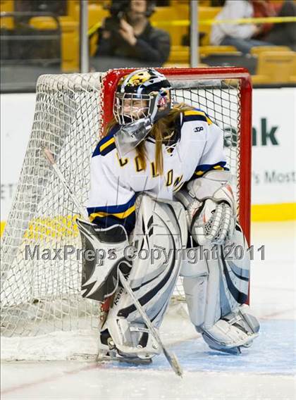 Thumbnail 3 in Hingham vs Acton-Boxborough (MIAA Division 1 Final) photogallery.
