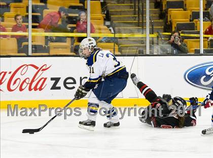 Thumbnail 3 in Hingham vs Acton-Boxborough (MIAA Division 1 Final) photogallery.