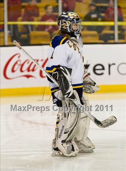 Thumbnail 3 in Hingham vs Acton-Boxborough (MIAA Division 1 Final) photogallery.