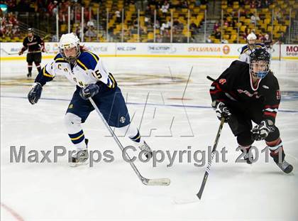 Thumbnail 1 in Hingham vs Acton-Boxborough (MIAA Division 1 Final) photogallery.