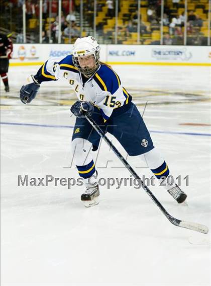 Thumbnail 3 in Hingham vs Acton-Boxborough (MIAA Division 1 Final) photogallery.