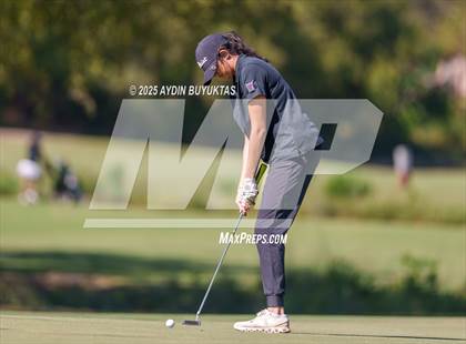 Thumbnail 1 in West Frisco Classic photogallery.