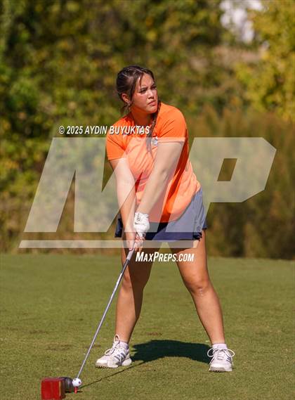 Thumbnail 1 in West Frisco Classic photogallery.