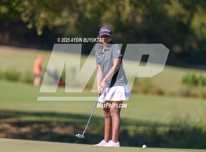 Thumbnail 3 in West Frisco Classic photogallery.