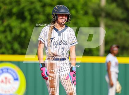 Thumbnail 3 in Collierville @ Arlington photogallery.