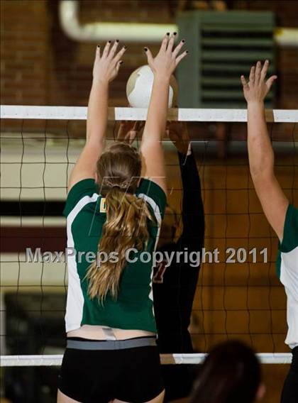 Thumbnail 1 in Davis @ Modesto photogallery.