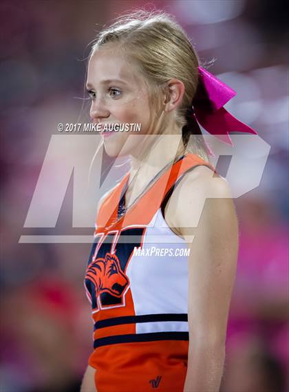 Thumbnail 2 in Wakeland @ Centennial photogallery.