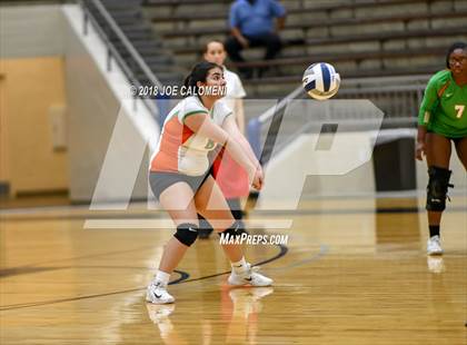 Thumbnail 1 in Houston [Sam] vs Highlands photogallery.